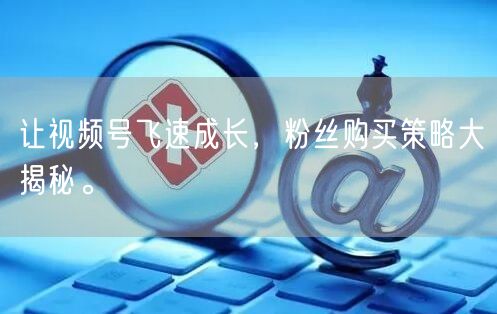 让视频号飞速成长,粉丝购买策略大揭秘。