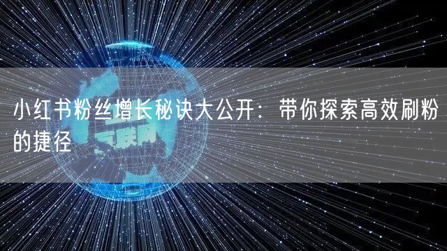 小红书粉丝增长秘诀大公开：带你探索高效刷粉的捷径