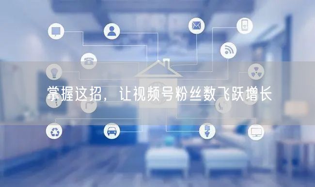 掌握这招，让视频号粉丝数飞跃增长