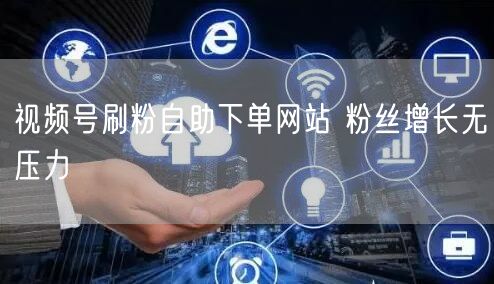 视频号刷粉自助下单网站 粉丝增长无压力