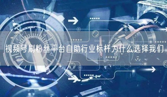视频号刷粉丝平台自助行业标杆为什么选择我们